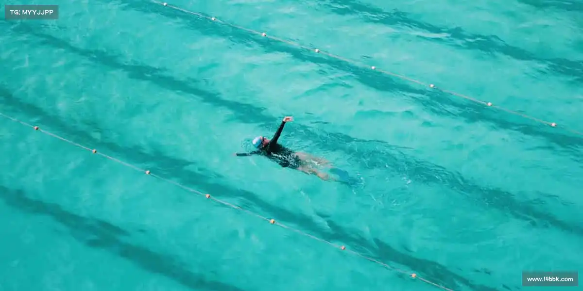 为什么选择我们